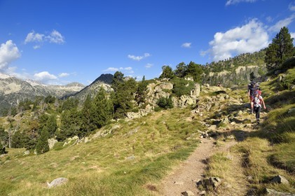 France, Hautes Pyrenees, Saint Lary Soulan and Vielle-Aure, hike on a variant of the GR10 between the Portet pass and the Bastan lakes on the edge of the Neouvielle nature reserve