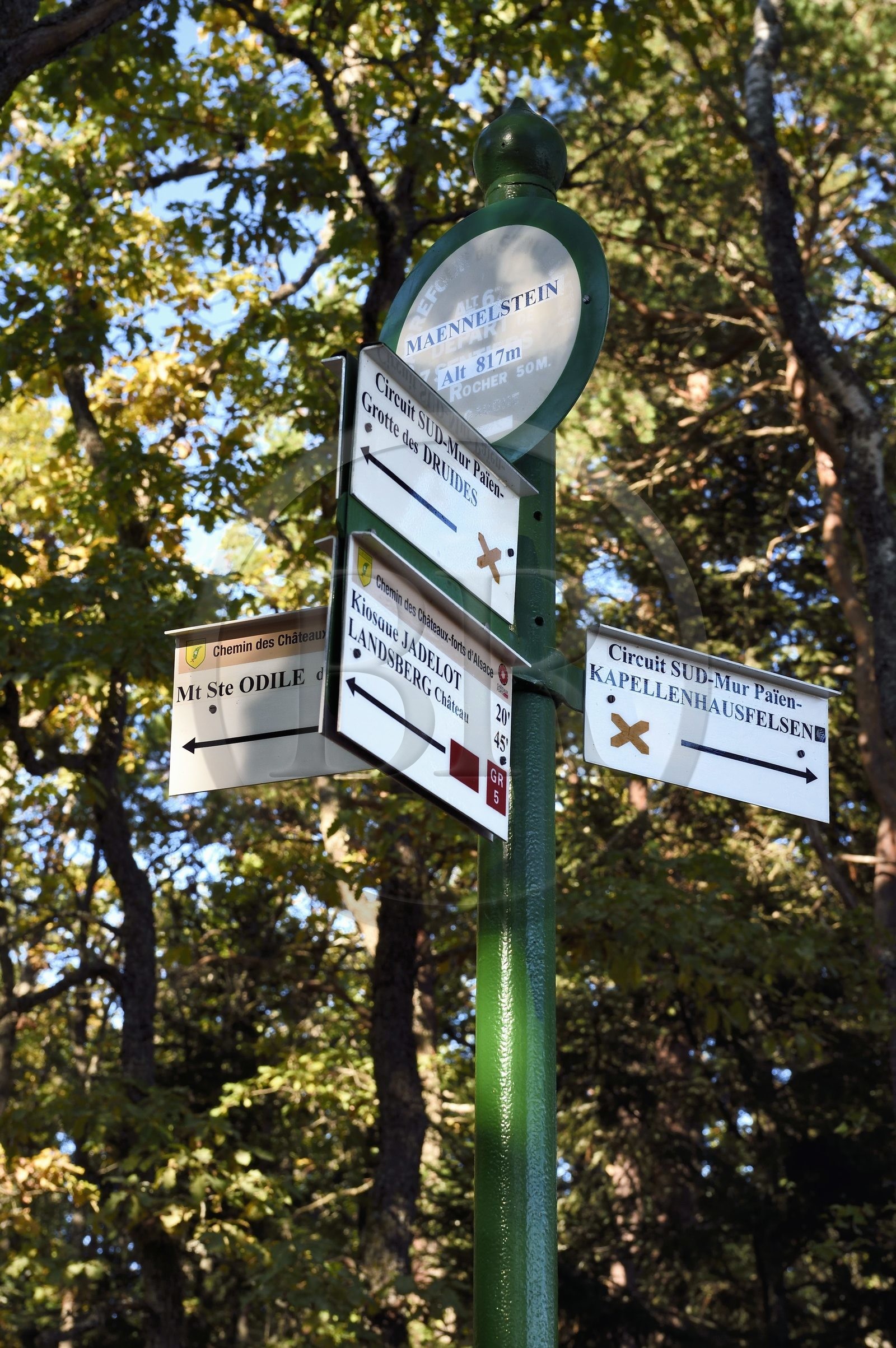 France, Bas-Rhin (67), Mont Saint-Odile, randonnée autours du Mur Païen, vestige d'un mur d'enceinte probablement de l'époque mérovingienne d'une longueur totale de onze kilomètres