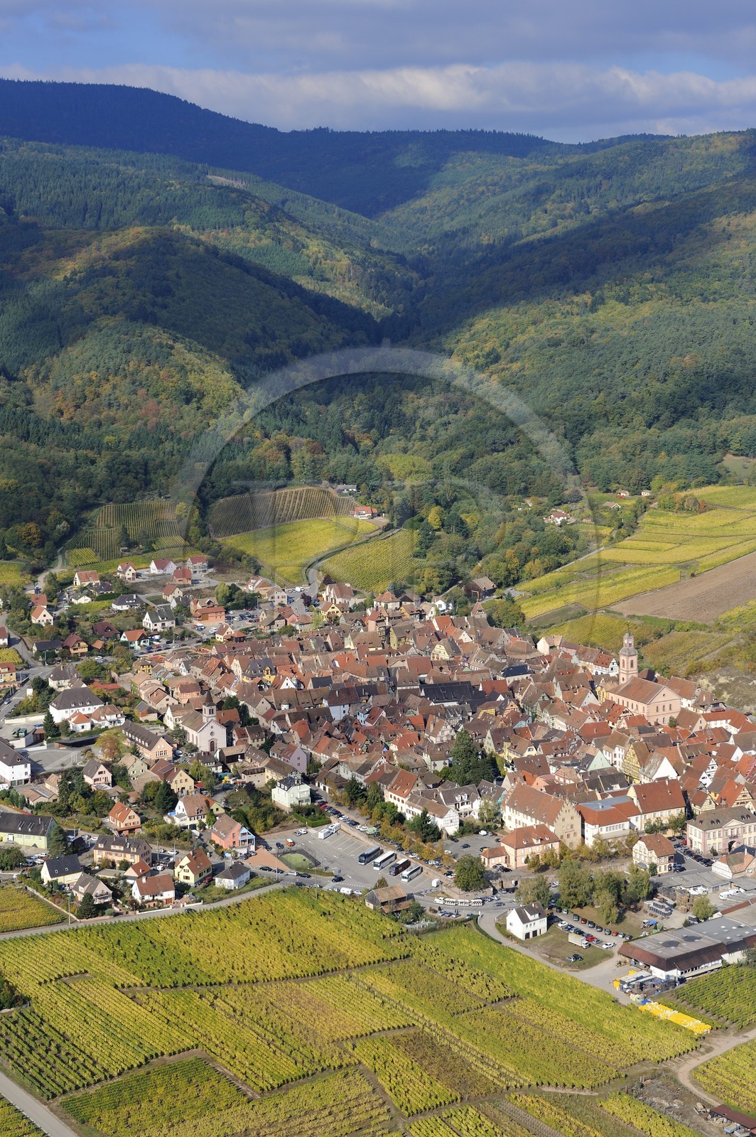 France, Haut-Rhin (68), Riquewihr et son vignoble au pied du massif des Vosges (photo aérienne)