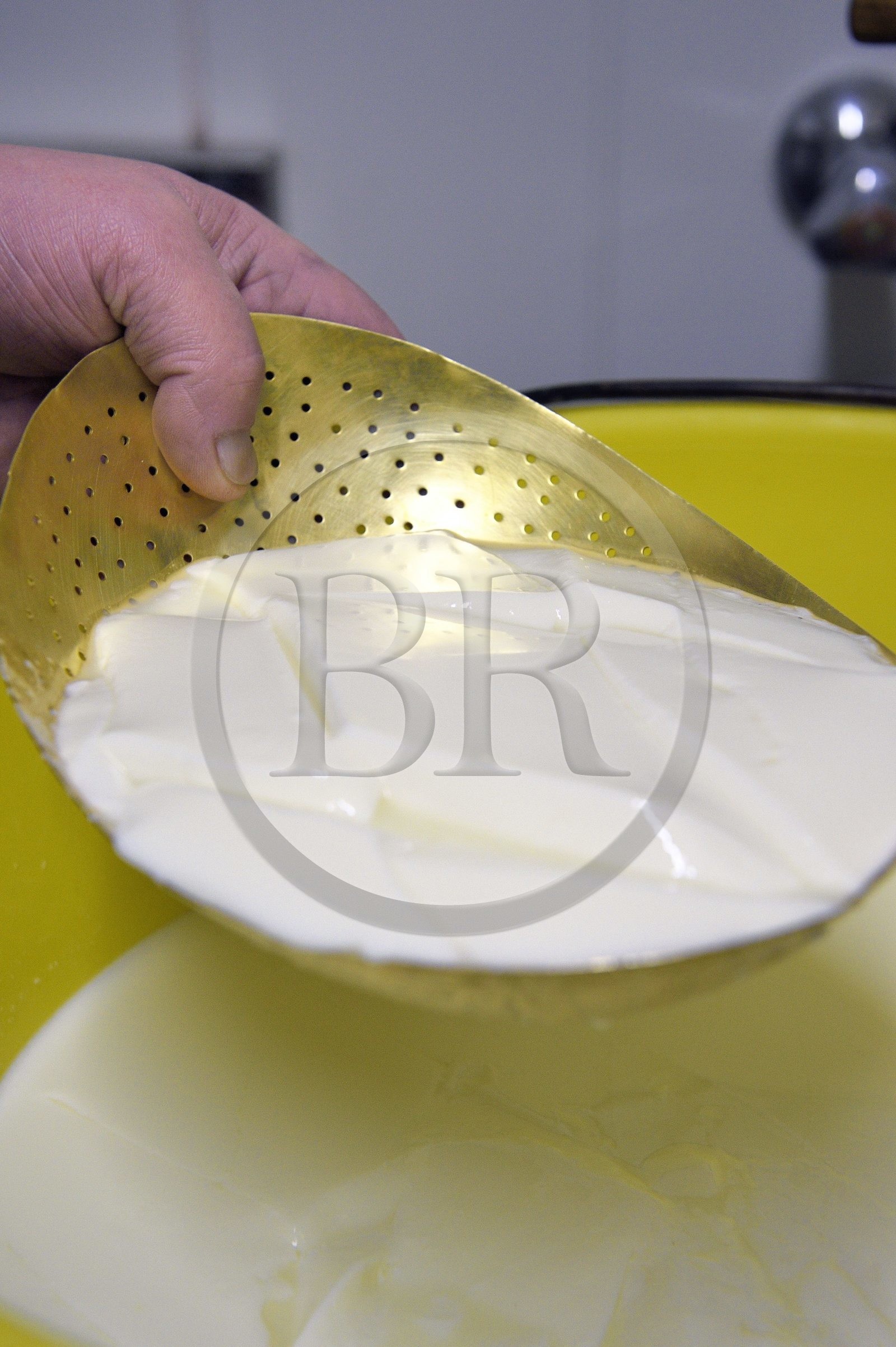 France, Haut Rhin, Wasserbourg, Ferme-auberge (farm-inn) Buchwald, marcaire Michel Wehrey in the production of munster AOP cheese (cow's milk), one-day cream cheese siesskass