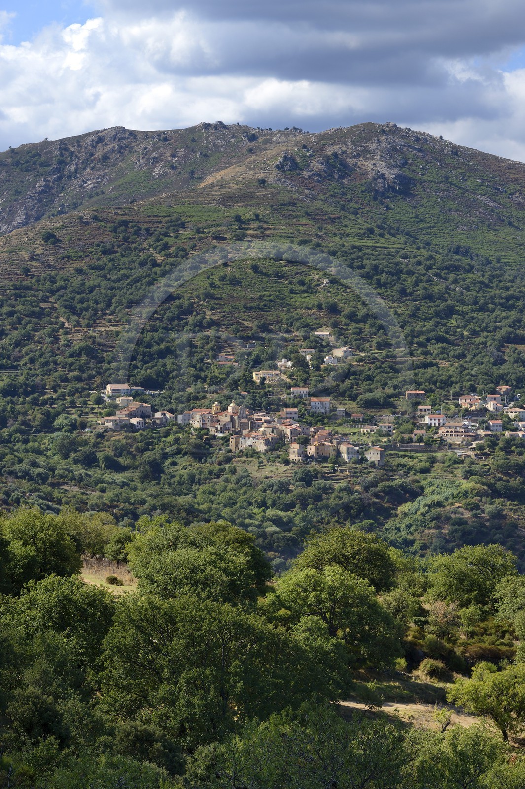 France, Haute-Corse (2B), Balagne