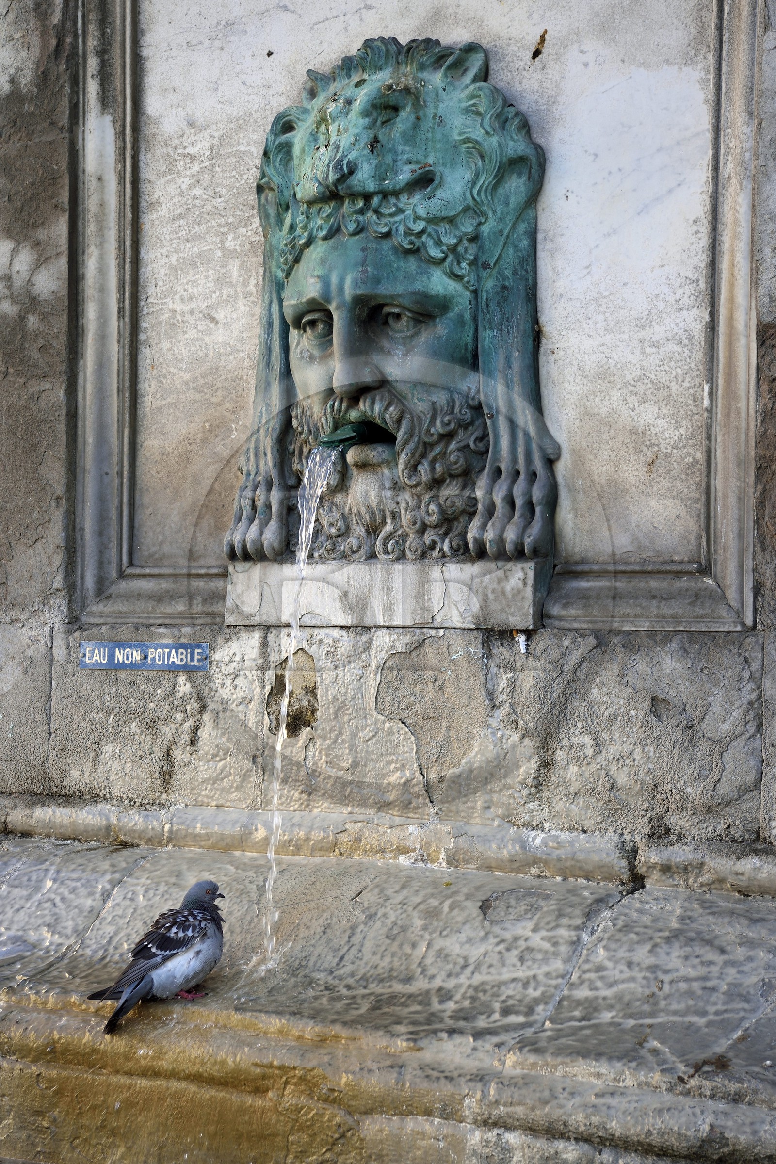 France, Bouches-du-Rhône (13), Arles, place de la République, fontaine de l'obélisque