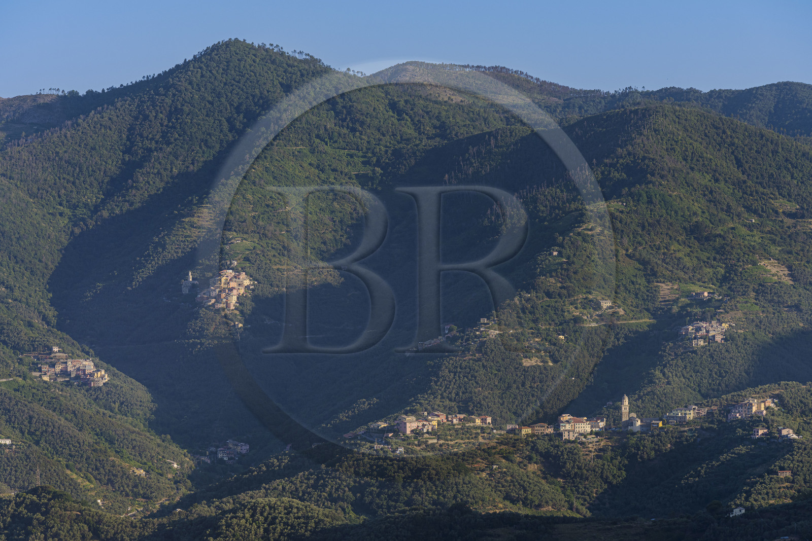Italie, Ligurie, Cinque Terre, parc national des Cinque Terre classé Patrimoine Mondial de l'UNESCO, villages et hameaux dans les hauteurs de Monterosso al Mare