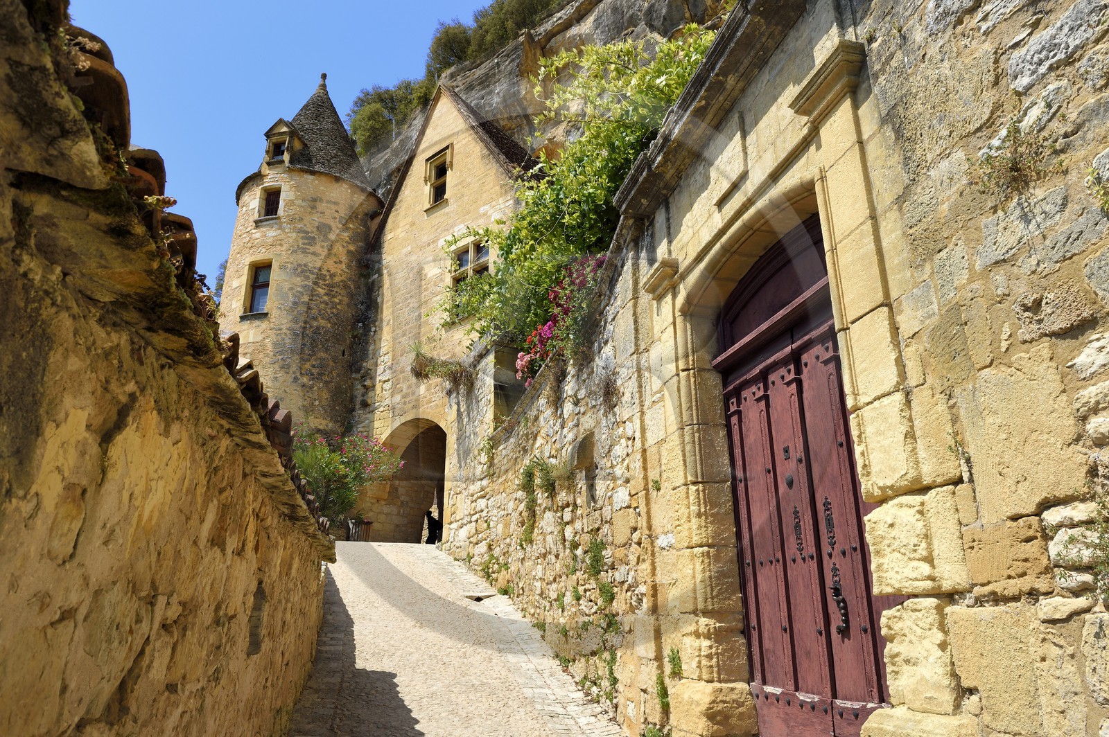 France, Dordogne (24), Périgord Noir, vallée de la Dordogne, La Roque-Gageac, labellisé Les Plus Beaux Villages de France, le manoir de Tarde en arrière plan