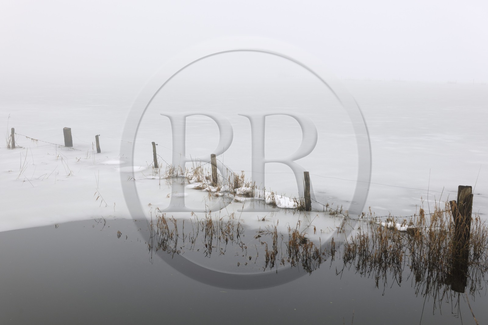 France, Manche, Cotentin, marshes of la Douve towards Liesville sur Douve
