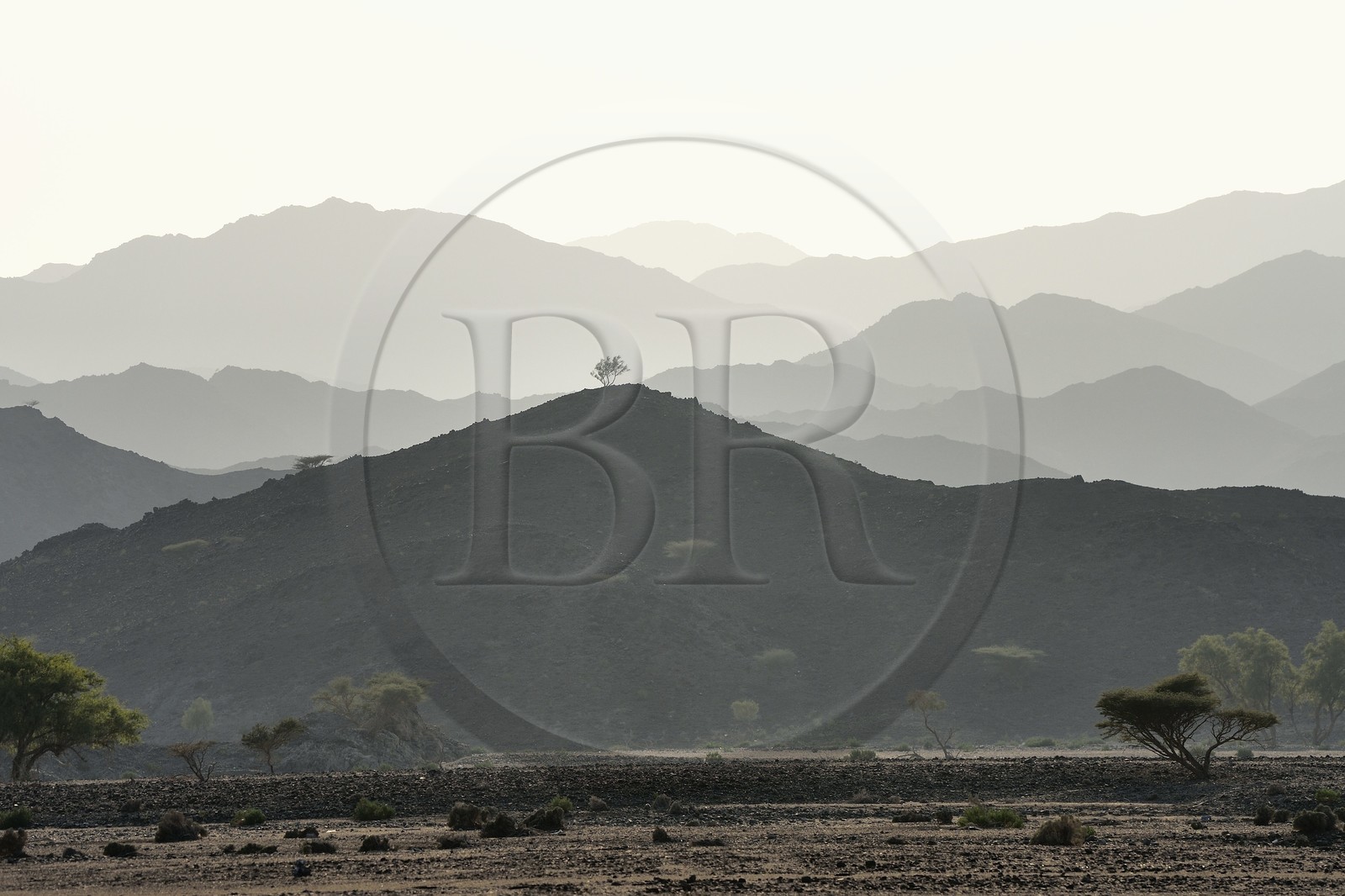 Sultanat d'Oman, gouvernorat de Ash Sharqiyah Nord, montagnes à l'Ouest d'Ibra