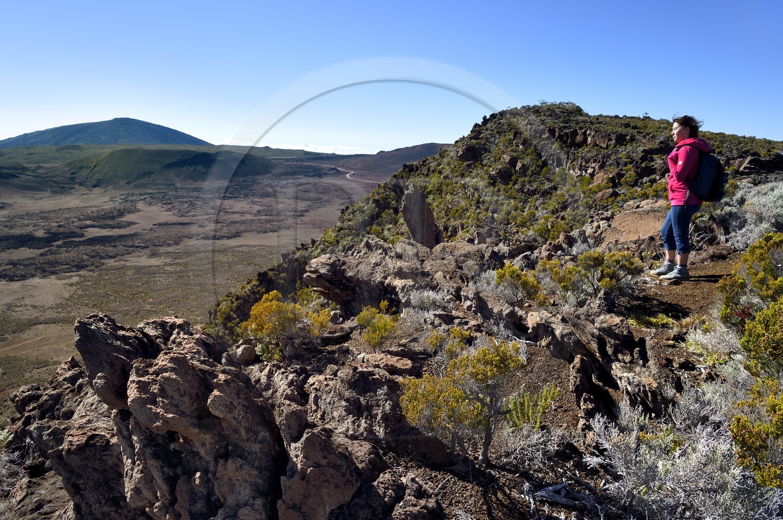 France, Reunion island (French overseas department), Reunion National Park listed as World heritage by UNESCO, on the slopes of the Piton de la Fournaise volcano, hiker on the Ste Therese oratory trail above the Plaine des Sables that we can see below