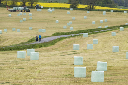 France, Vendée (85), Saint-Mesmin, randonnée cycliste sur la piste de la véloroute Vendée Vélo Tour