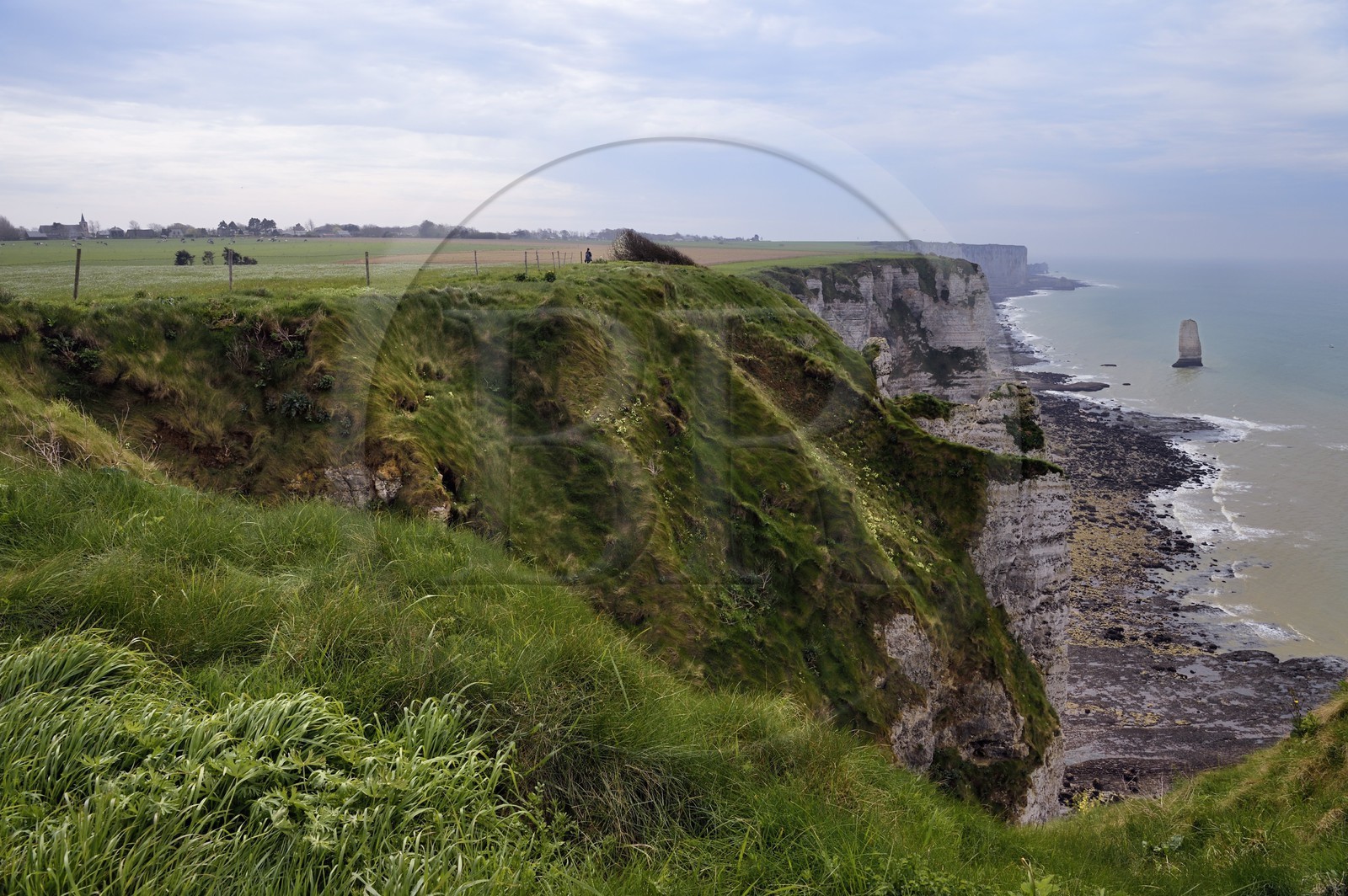 France, Seine-Maritime, Pays de Caux, Alabaster Coast (Cote d'Albatre), hiker on the GR 21 between Etretat and Yport, Aiguille (Needle) of Belval and cliff at low tide