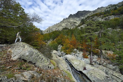 France, Haute Corse, Vivario, hiking on the GR 20, between Onda refuge and Vizzavona, Vizzavona forest, Englishmen cascades, waterfalls group in the Agnone valley under the Monte d'Oro