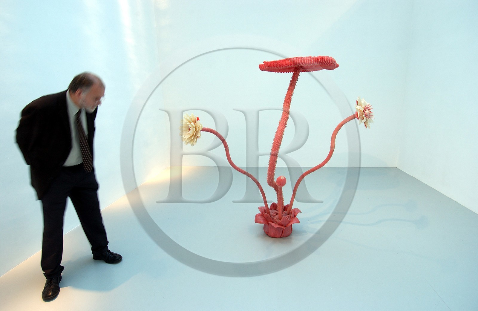 France, Nord, Lille 2004, Flower Power exhibition in the Palais des Beaux-Arts