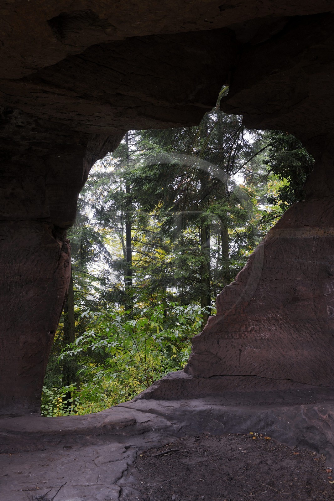 France, Bas-Rhin (67), château du Vieux-Windstein