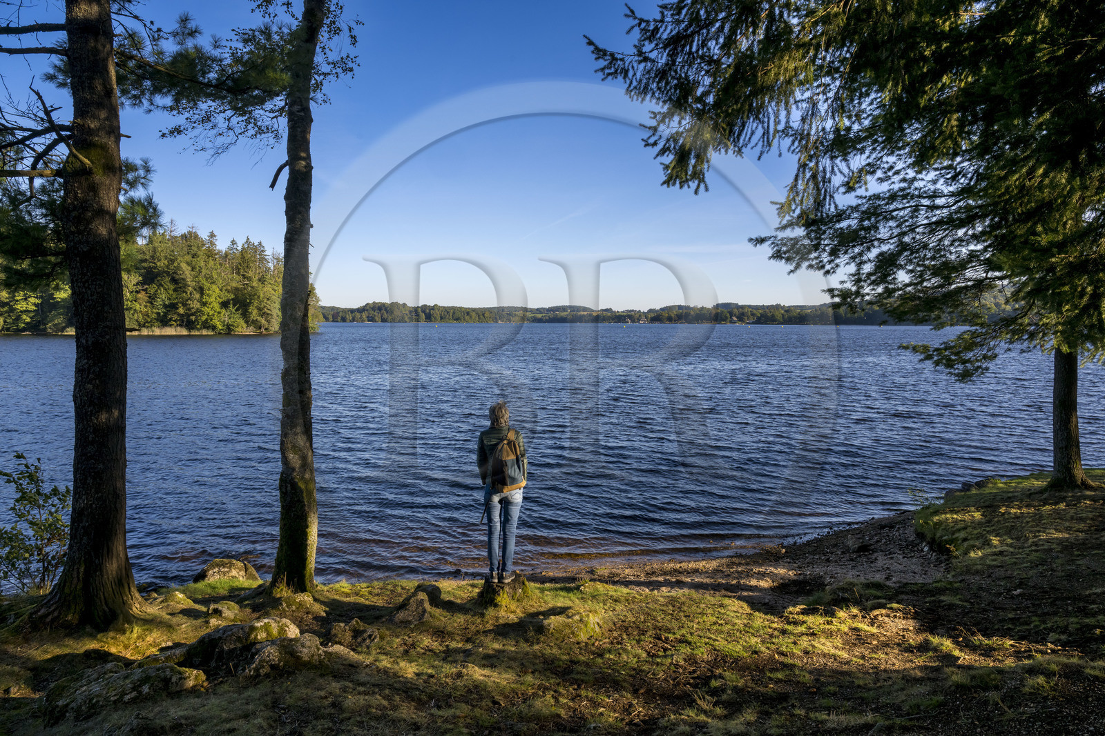 France, Nievre, Regional Natural Park of Morvan, Moux-en-Morvan, lac des Settons (Settons lake)