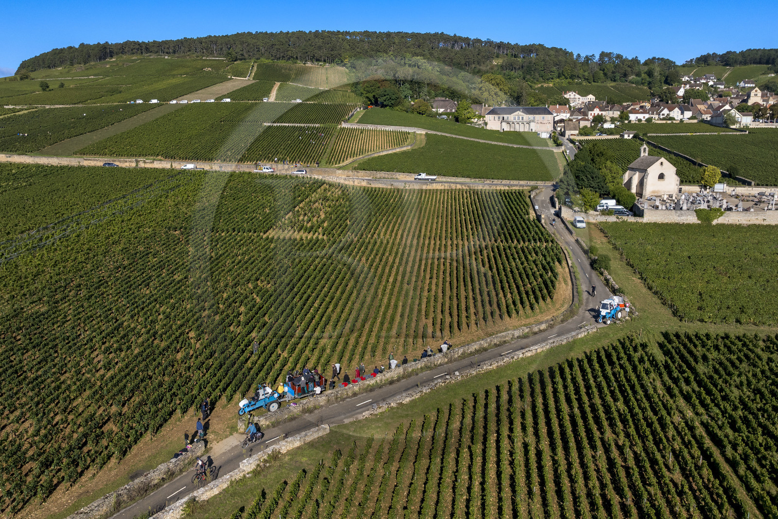 France, Côte-d'Or (21), les climats de Bourgogne classés Patrimoine Mondial de l'UNESCO, Route des Grands Crus, vignoble de la Côte de Beaune, Volnay, vendanges dans les vignes où les Hospices de Beaune possèdent des parcelles, chapelle Notre-Dame de Pitié reconstruite au XVIe siècle et son cimetière (vue aérienne)