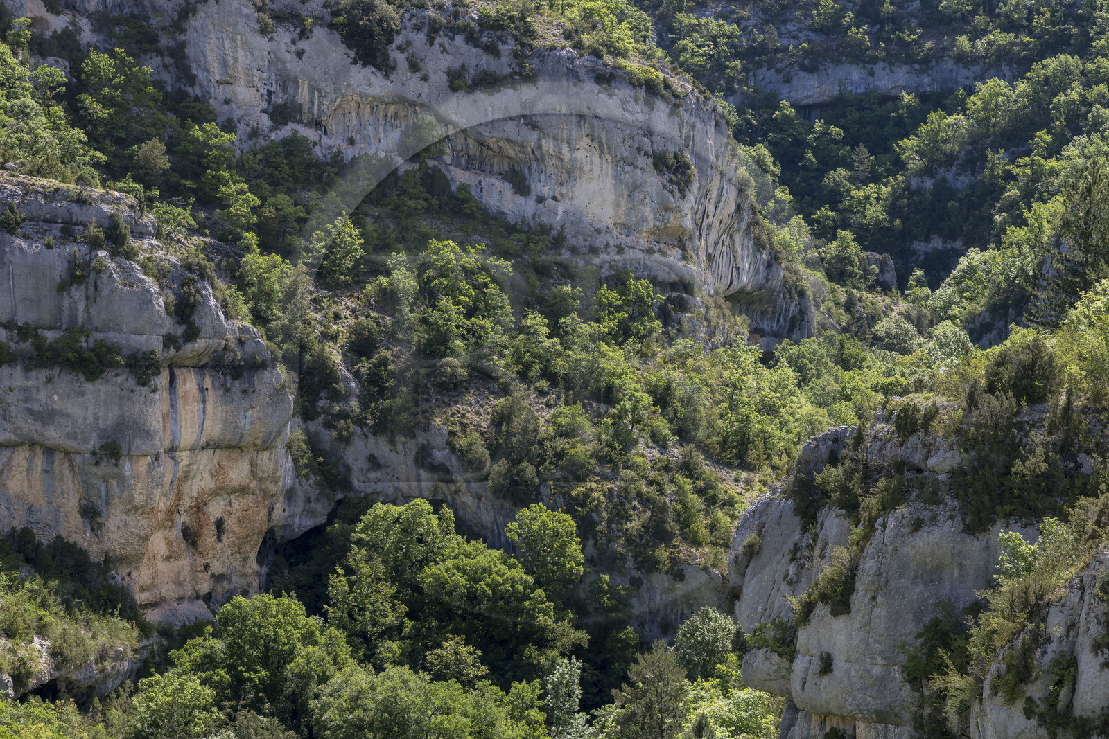 France, Vaucluse, Mont Ventoux Regional Natural Park, Monieux, Gorges de La Nesque,