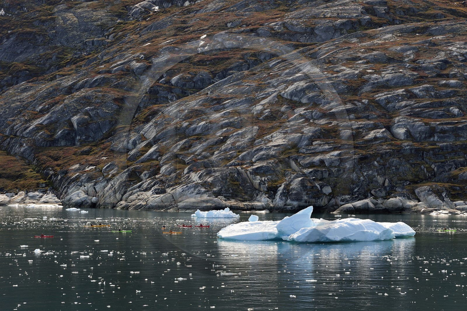 Groenland, cote ouest, baie de Disko, baie de Quervain, groupe de kayaks progressant au milieu des icebergs