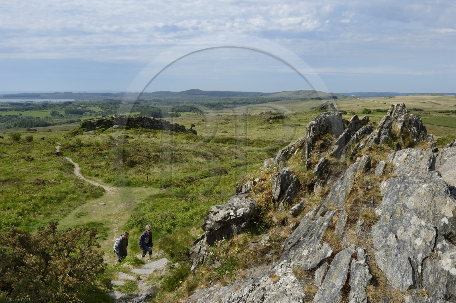 France, Finistère (29), parc naturel régional d'Armorique, Plounéour-Ménez, Roc-Trevezel et les Monts d'Arrée