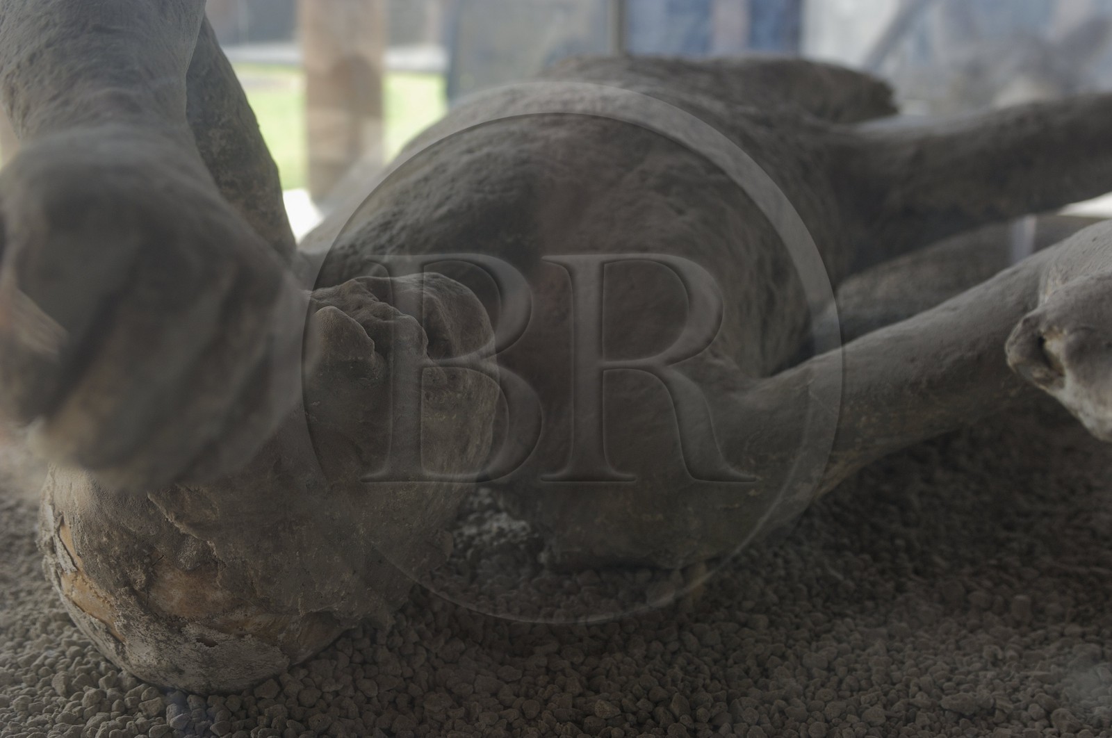 Italie, Campanie, Pompei, site archéologique classé Patrimoine Mondial de l'UNESCO, moulage d’empreintes de victimes de l'éruption