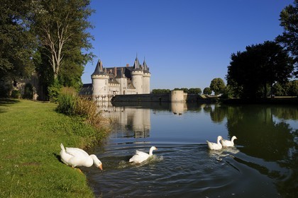 France, Loiret, Loire Valley listed as World Heritage by UNESCO, Sully sur Loire, Chateau de Sully sur Loire, compulsory mention : Chateaux de Sully sur Loire, property of the Loiret Departement