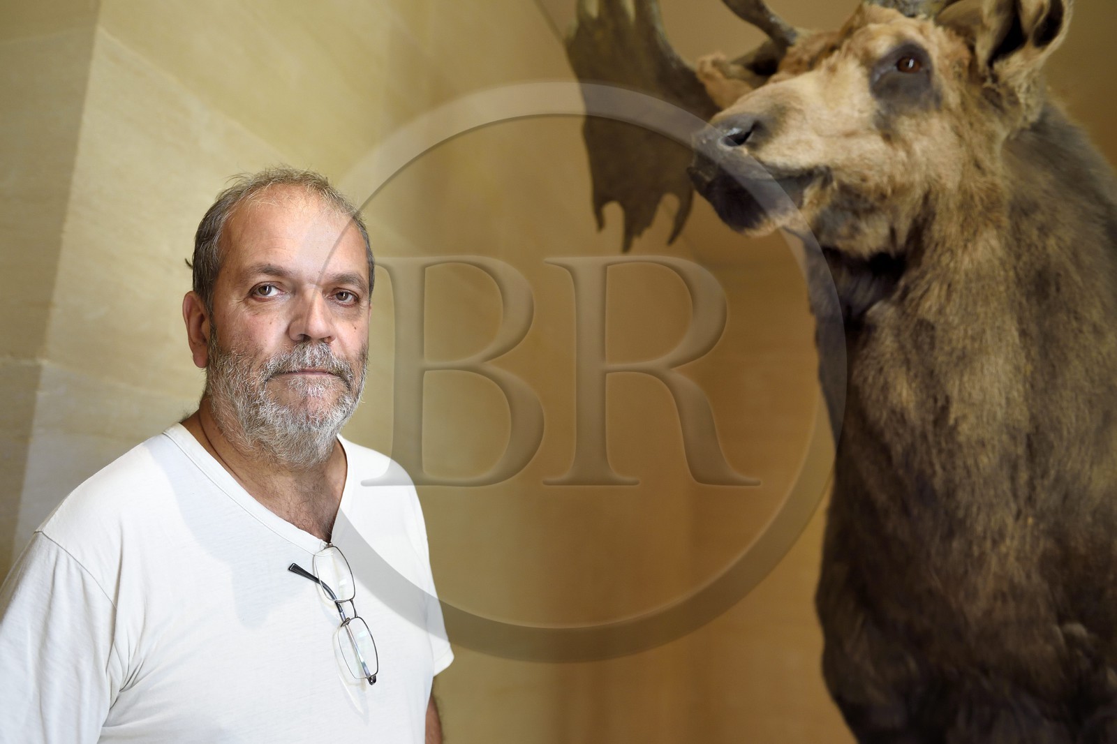 France, Dordogne, Perigord Noir, Vezere Valley, Les Eyzies de Tayac Sireuil, listed as World Heritage by UNESCO, Musee de la Prehistoire (Museum of Prehistory), Director Jean-Jacques Cleyet-Merle next to a megaceros