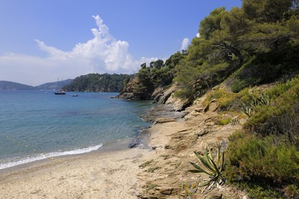 .France, Var, Le Rayol Canadel sur Mer, Domaine du Rayol, Jardin des Mediterranees, Conservatoire du Littoral Estate, compulsory mention, beach of departure from the underwater garden