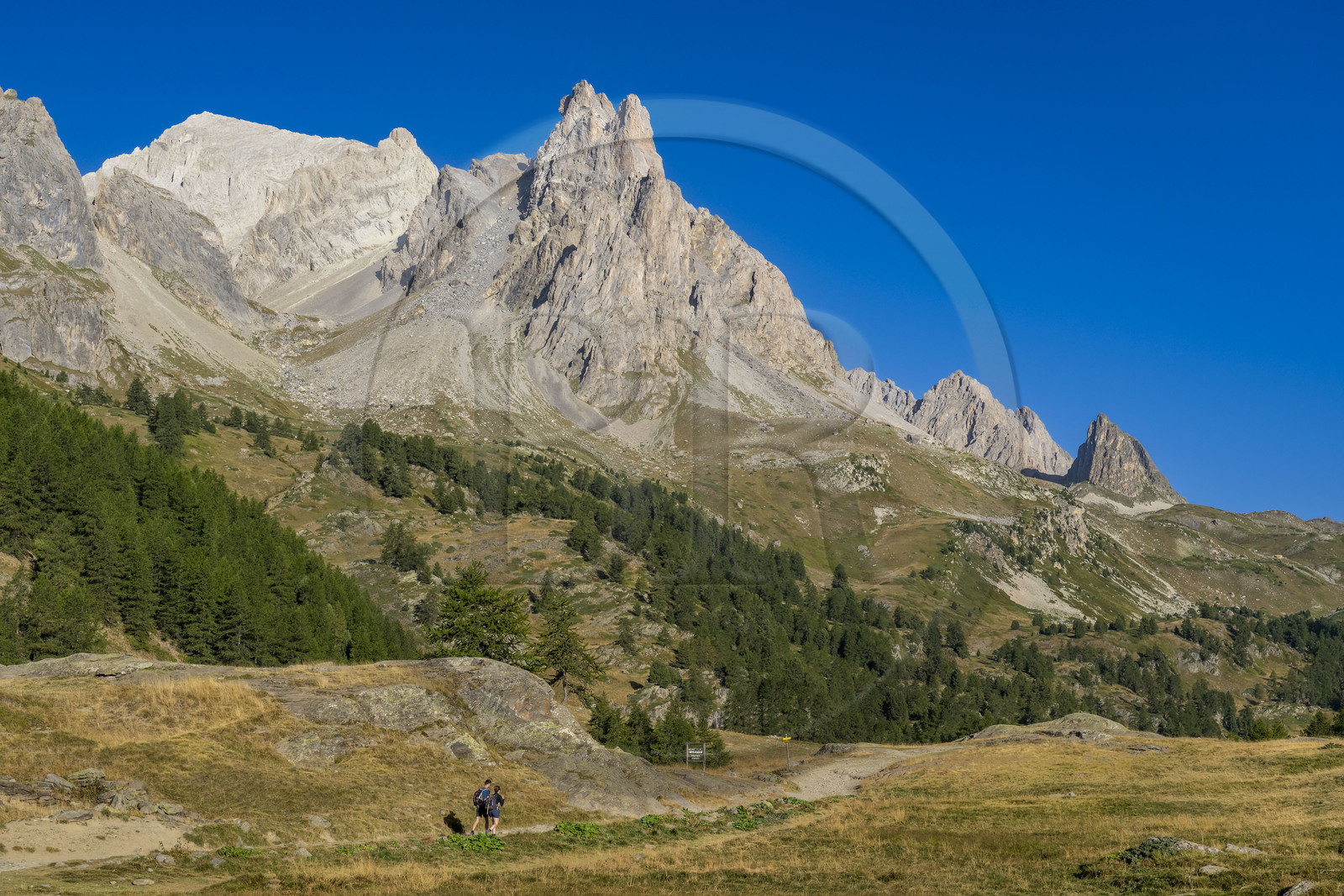 France, Hautes Alpes, Briancon region, Nevache, hikers in the Clarée valley, the Cerces massif and the peaks of the Main de Crépin (2942m) in the background