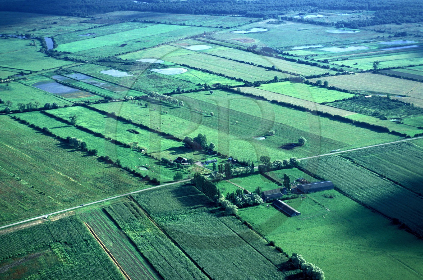 France, Eure (27), le Marais-Vernier, (vue aérienne)