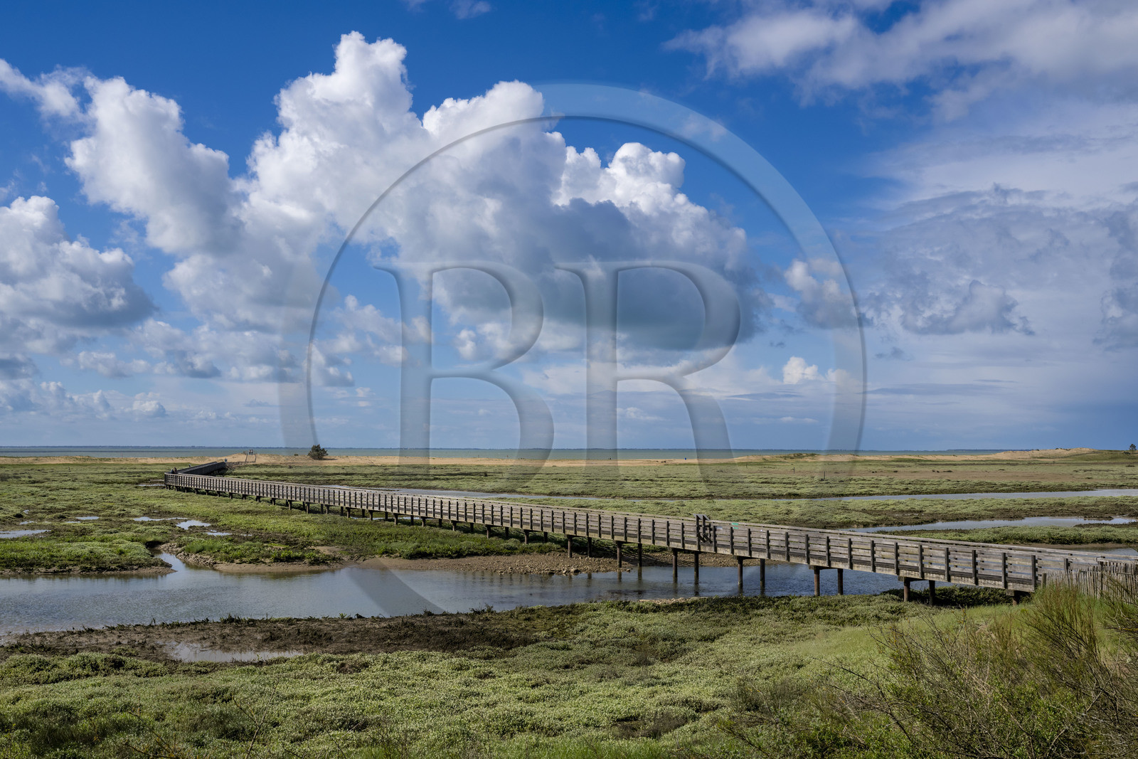 France, Vendée (85), La Tranche-sur-Mer, passerelle de la Réserve naturelle de la Casse de la Belle Henriette, l'une des dernières véritables lagunes de la côte atlantique