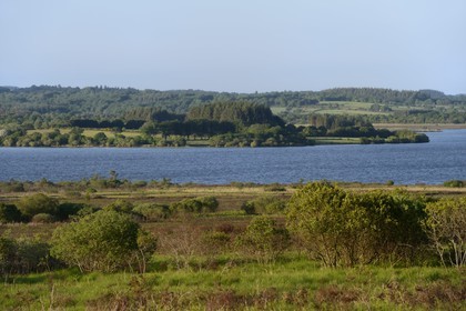 France, Finistère (29), parc naturel régional d'Armorique, Monts d'Arrée, Brasparts, le réservoir de Saint-Michel et le marais du Yeun-Elez avec le Youdig (une des portes de l'enfer)