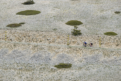 France, Vaucluse (84), Parc Naturel Régional du Mont Ventoux, Bedoin, ascension à vélo du Mont Ventoux par la route D974 sur le versant sud vers le sommet, pierriers tapissés ici et là de genévriers nains
