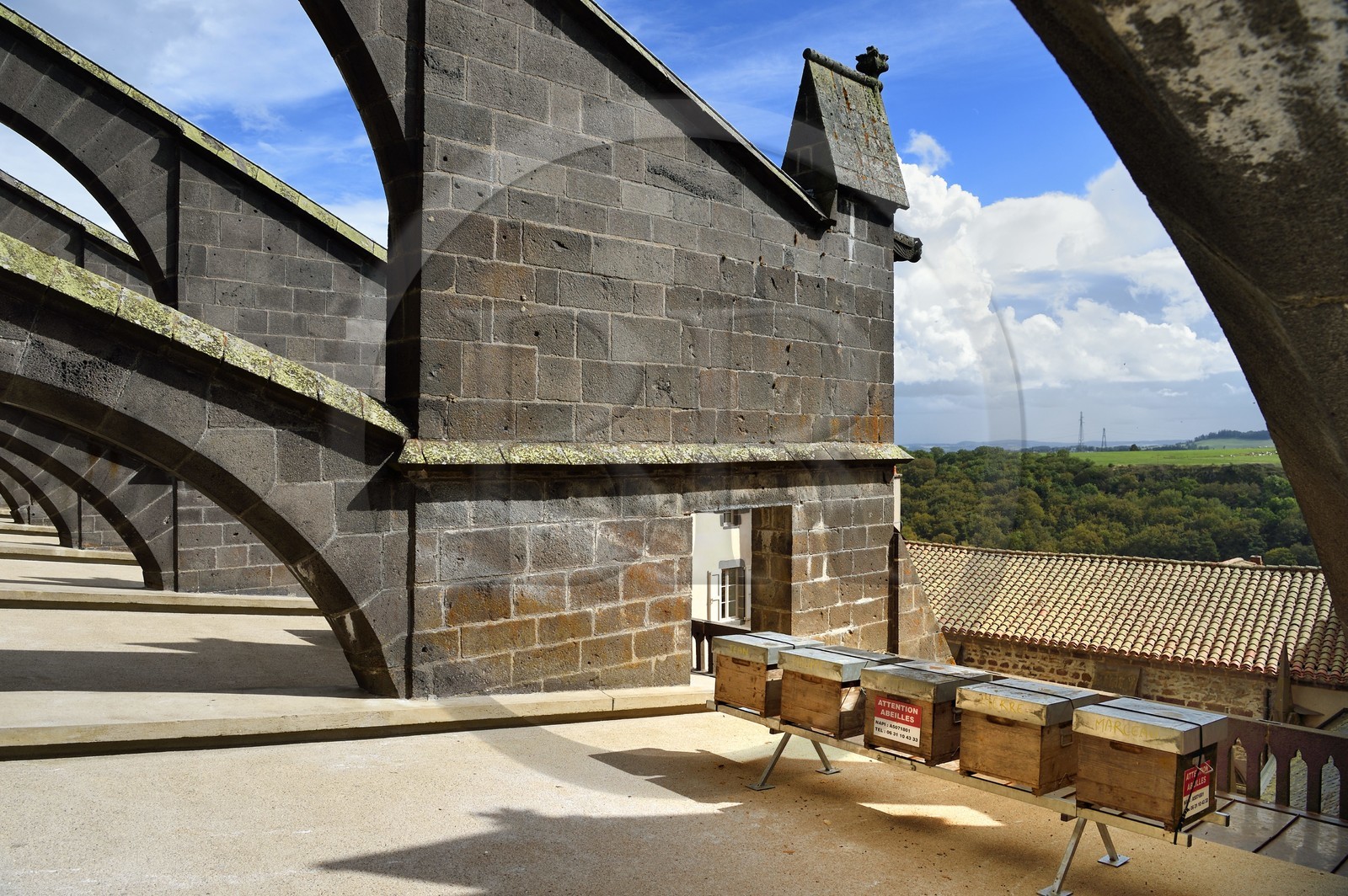France, Cantal (15), Saint-Flour, cathédrale Saint-Pierre, les ruches sur le toit
