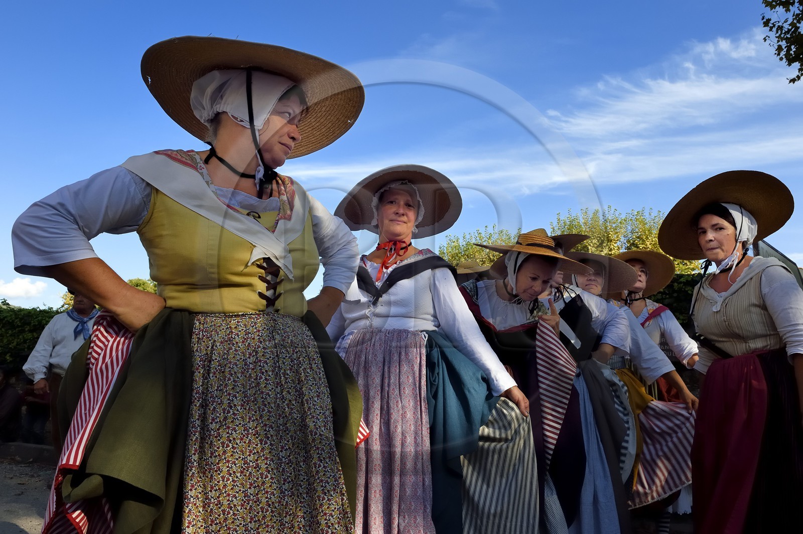 France, Var, Massif des Maures, Collobrières, group of traditional Provencal dancers and musicians at the chestnut festivals