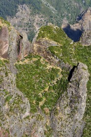 Portugal, Ile de Madère, randonneur sur le sentier du Vereda do Areeiro entre les monts Pico Ruivo (1862m) et Pico Arieiro (1817m), vue depuis le belvédère de Ninho da Manta (nid de buse) sur la chaine de montagnes centrale