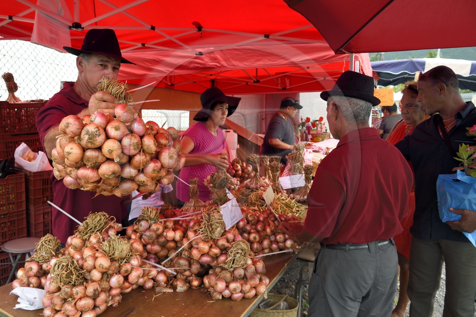 France, Reunion island (French overseas department), Saint-Joseph, Plaine des Gregues, mister le breton farmer producer of onions