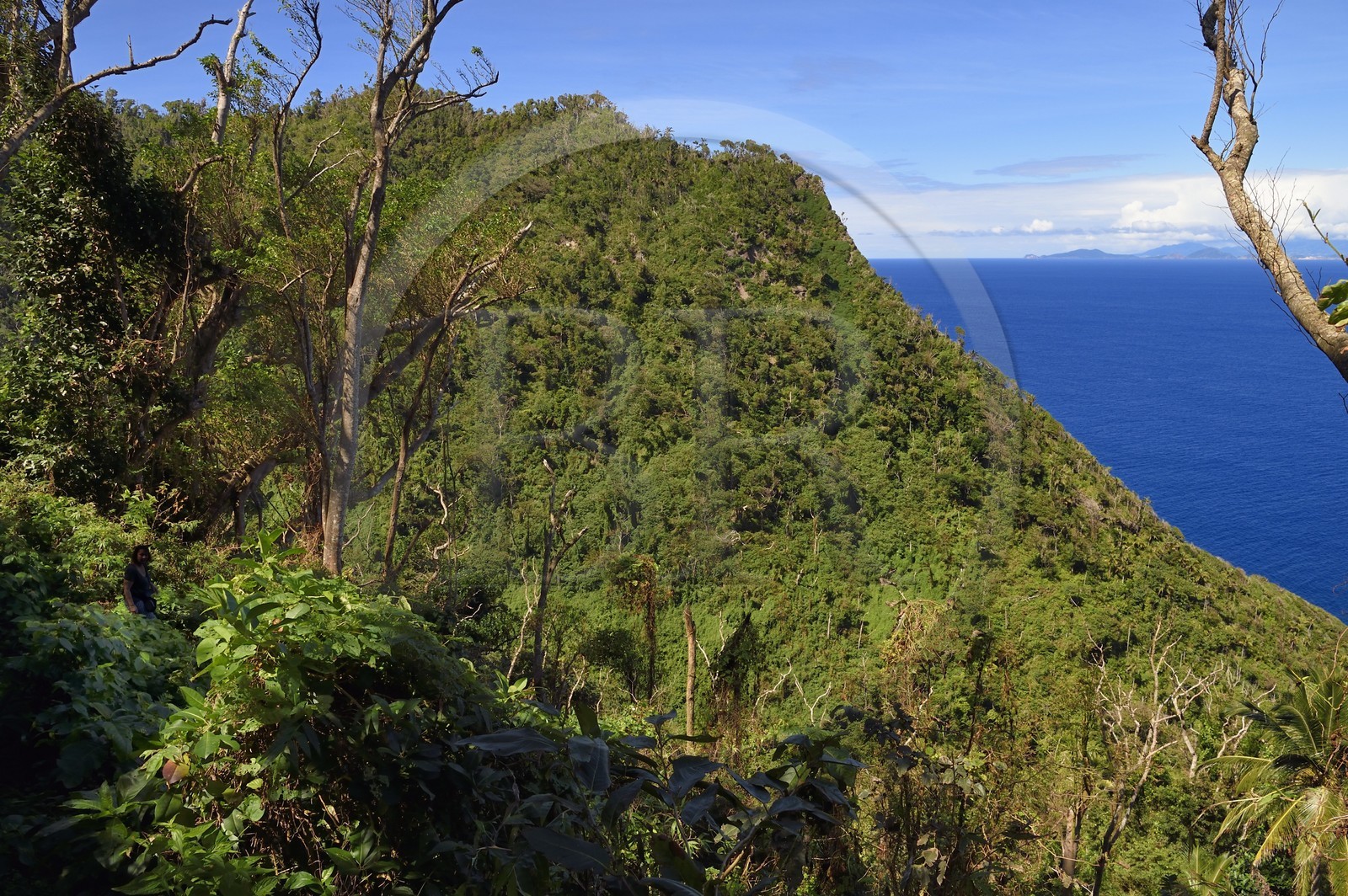 Caribbean, Dominica Island, hiker on segment 13 of the Waitukubuli National Trail in the north of the island between Pennville and Capuchin, Les Saintes in French Guadeloupe in the background