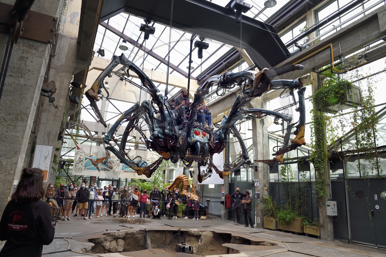 France, Loire-Atlantique (44), Nantes, galerie des Machines de l'Ile dans les hangars des anciens chantiers navals, projet artistique conçu par François Delarozière et Pierre Orefice, une Araignée Mécanique se hisse du sol à une branche haute