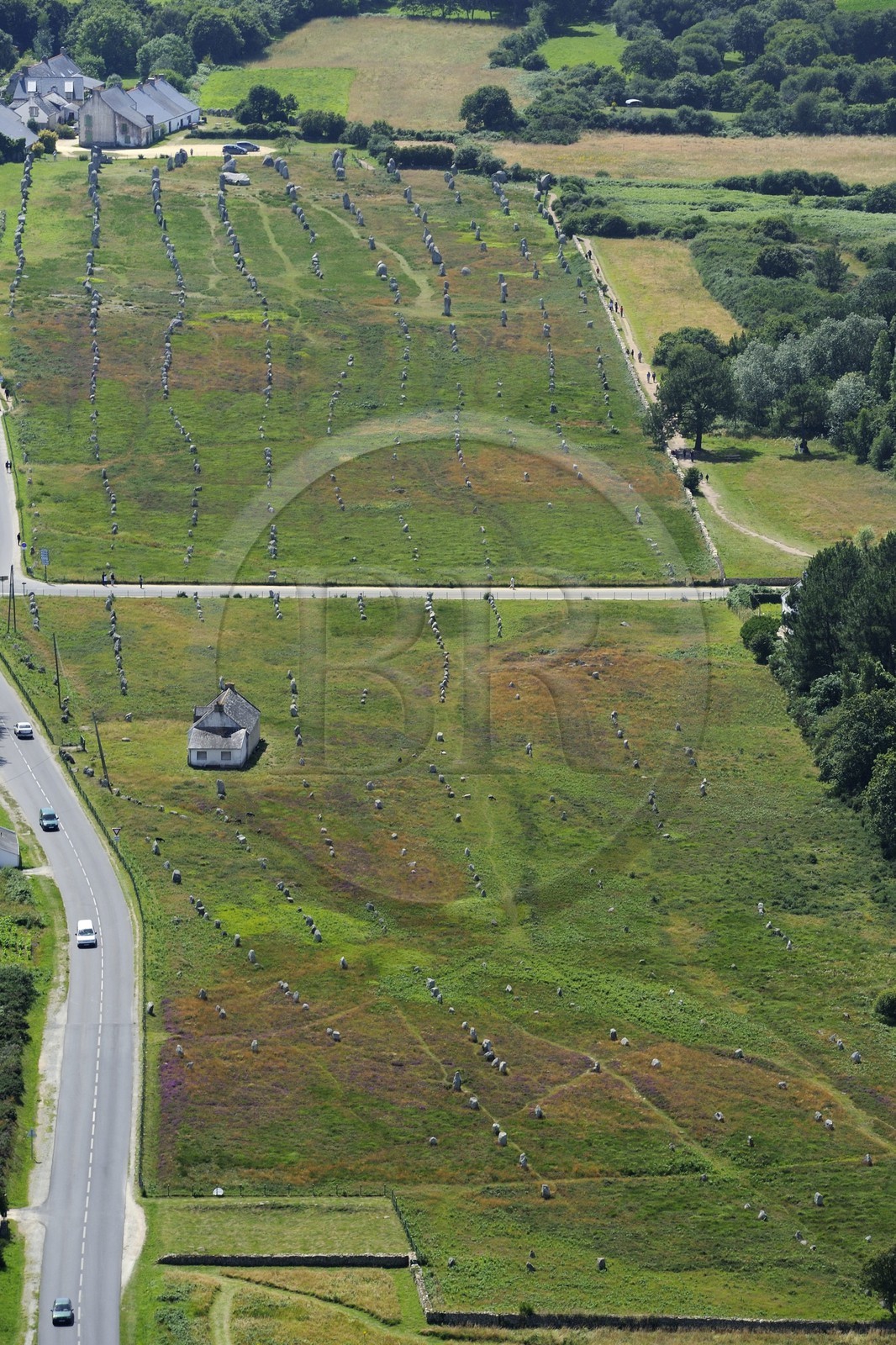 France, Morbihan, Carnac, row of megalithic standing stones at Menec (aerial view)