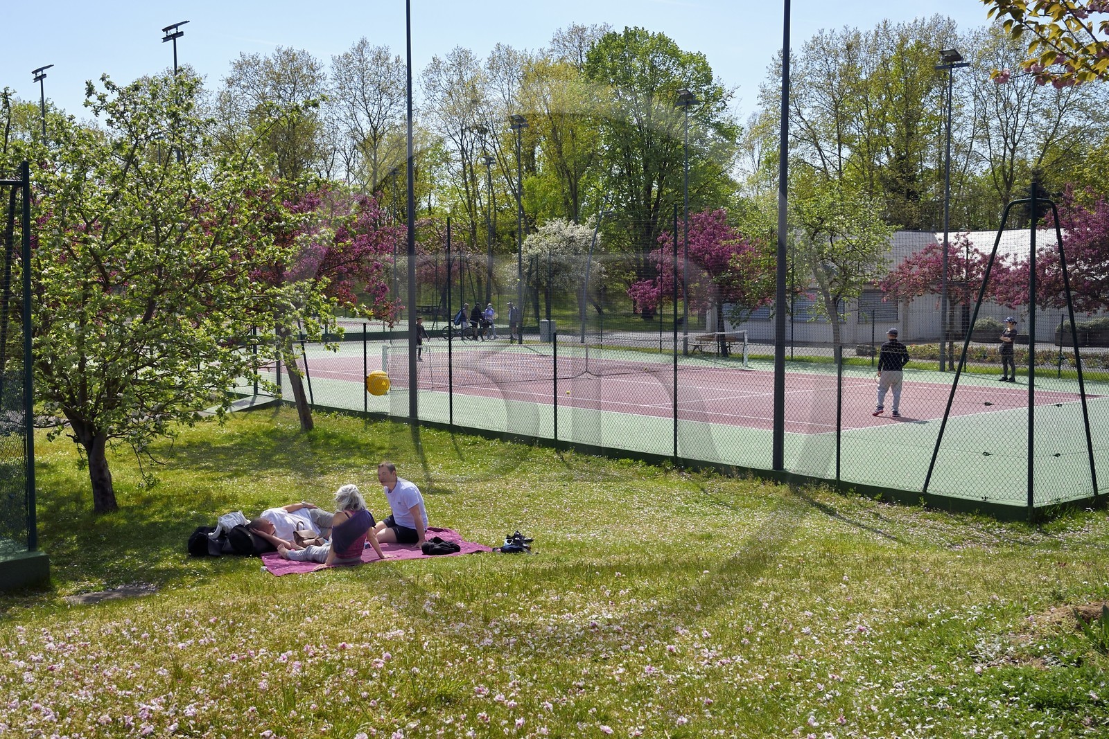 France, Val-de-Marne (94), Champigny-sur-Marne, parc du Tremblay, cours de tennis