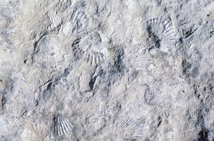 France, Bouches du Rhone, Les Baux de Provence village, labelled Les Plus Beaux Villages de France (The Most Beautiful Villages of France), rock coming from the ocean depths
