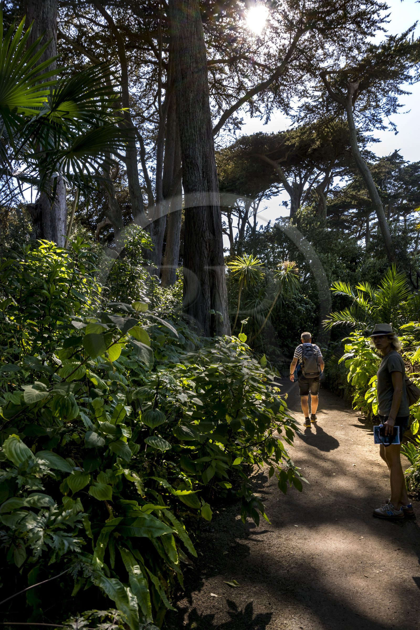 France, Finistère (29), Iles du Ponant, Ile de Batz, jardin Georges Delaselle ou jardin colonial, jardin exotique présentant une collection botanique provenant des cinq continents