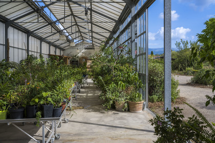 France, Alpes-Maritimes, Mouans-Sartoux, Gardens of the International Museum of Perfumery (Musée International de la Parfumerie - MIP)