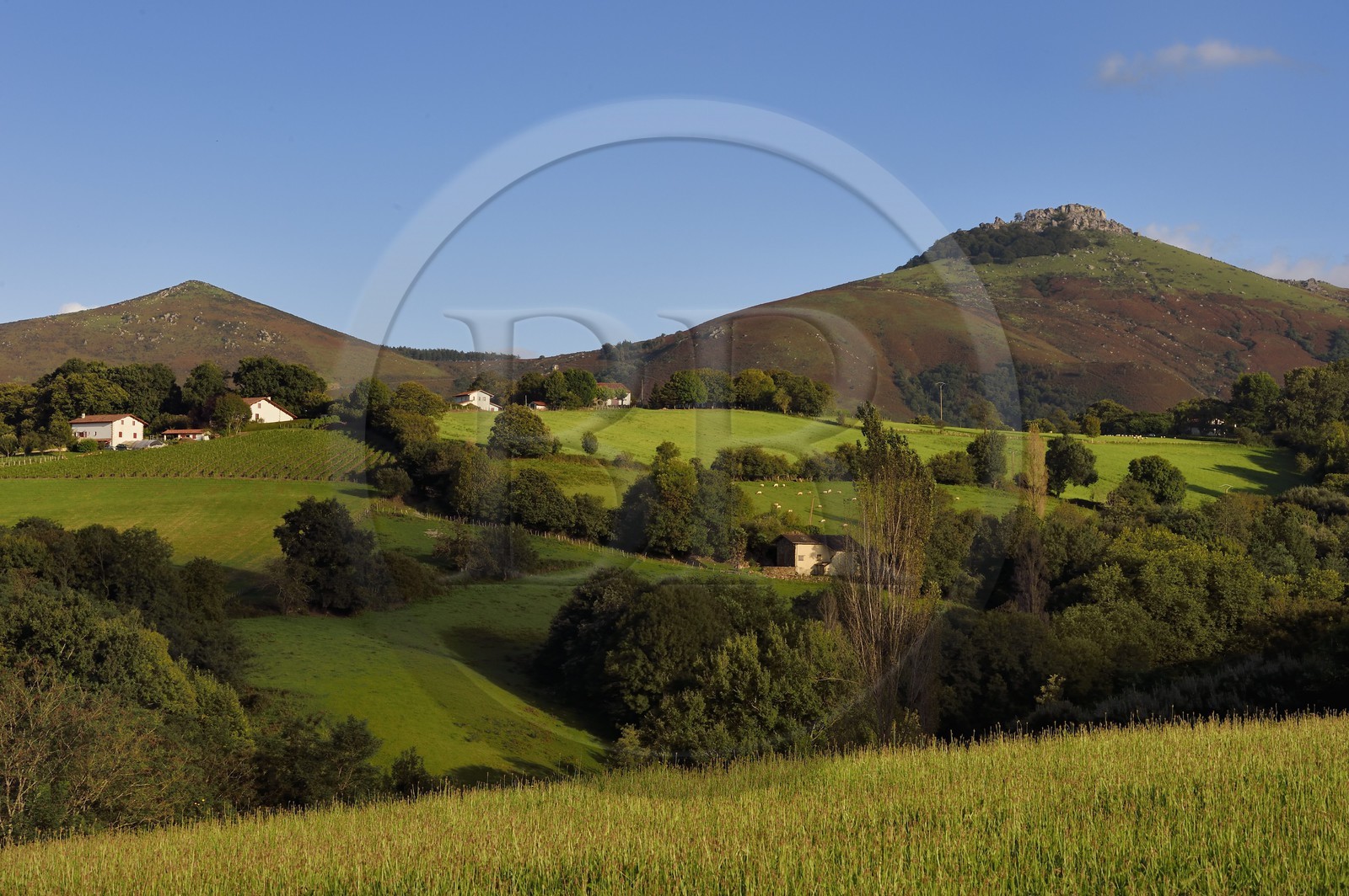 France, Pyrénées-Atlantiques (64), Pays-Basque, Espelette, hameau au pied du mont Mondarrain