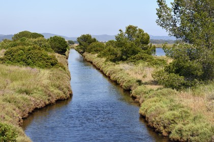 France, Var, Hyeres, Conservatoire du Littoral, the Vieux Salins (former salt marshes)