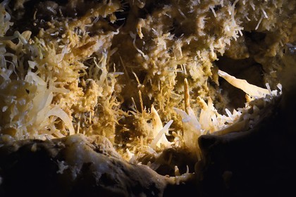 France, Dordogne (24), Périgord Noir, Les Eyzies-de-Tayac, site classé Patrimoine Mondial de l'UNESCO, enchevetrement de cristallisations dans la grotte du Grand-Roc