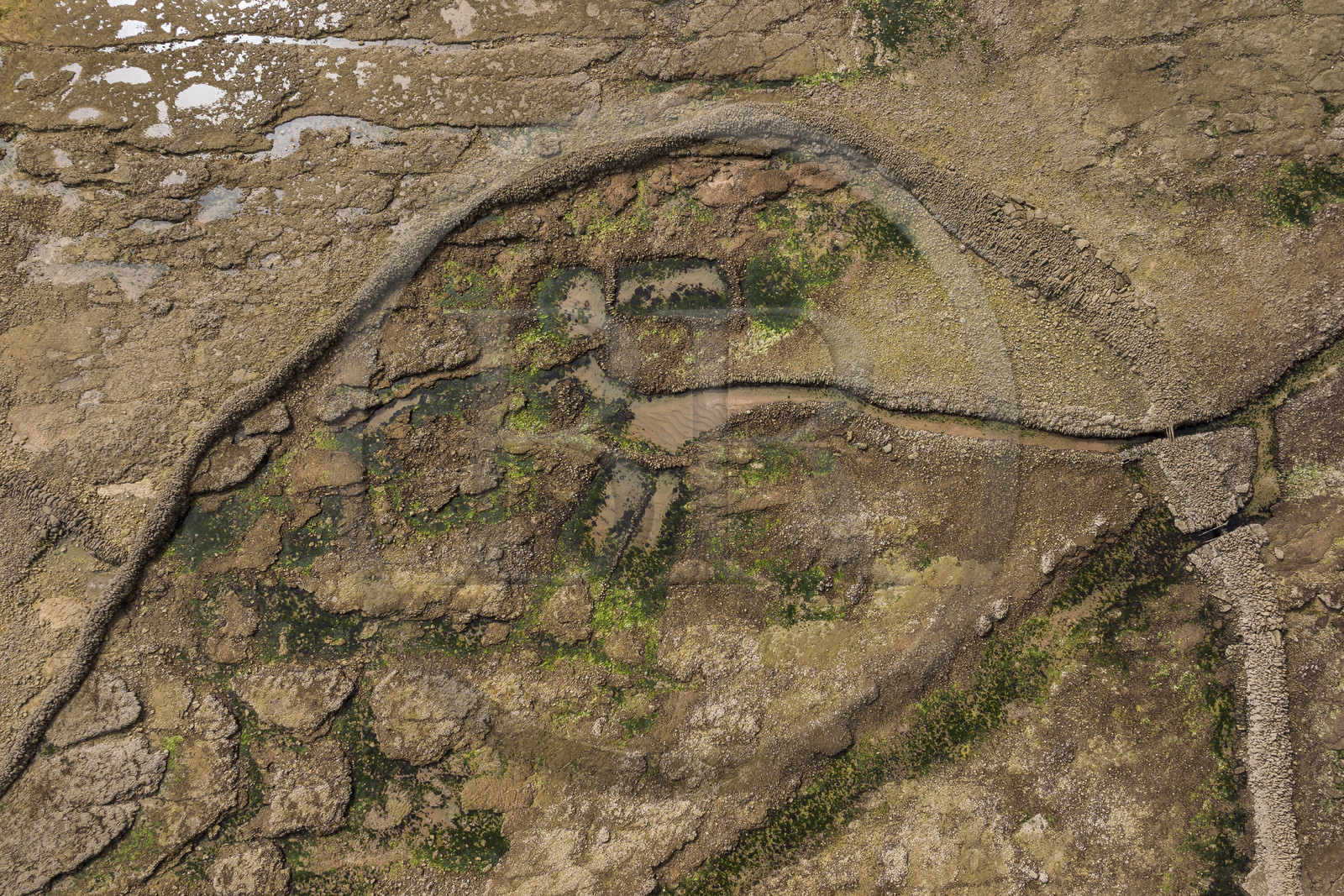 France, Charente Maritime, Oleron island, Saint Georges d'Oléron, Sables Vignier beach at low tide, the Basses fish lock (aerial view)