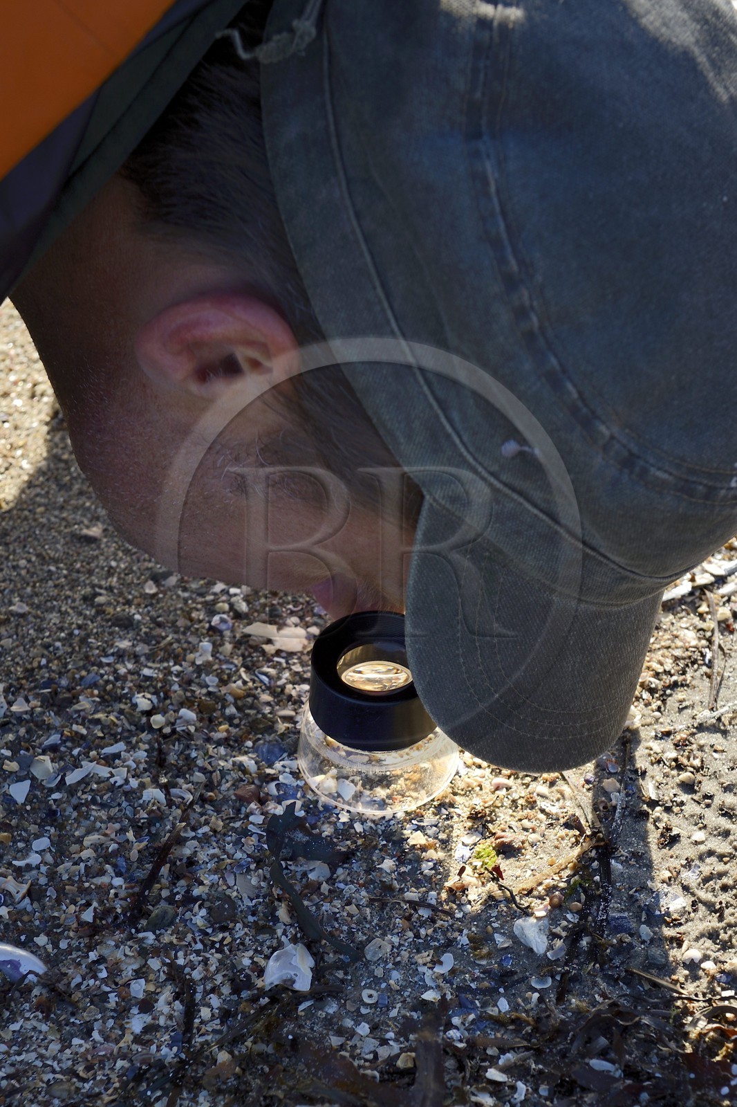 Sweden, Västra Götaland, Koster Islands, Sydkoster sandy beach, shell debris observation with a magnifying glass