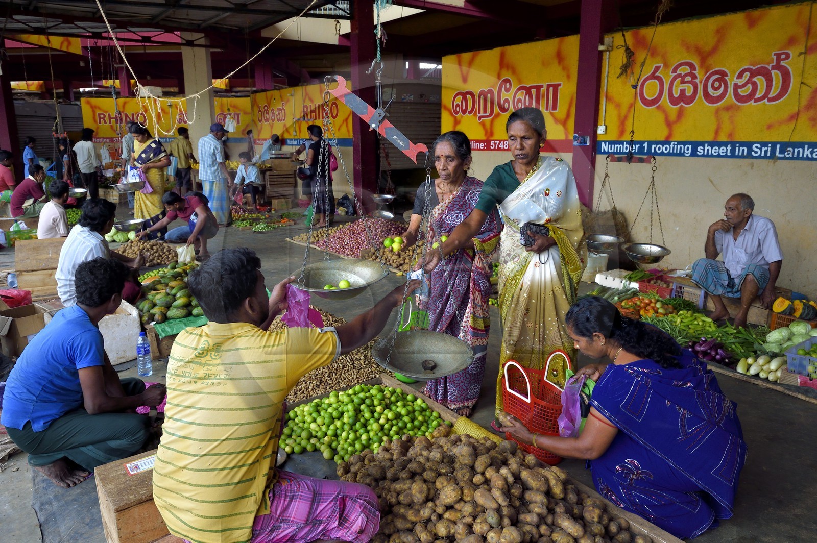 Sri Lanka, province de l'Est, Trincomalee, le marché couvert, vente de légumes