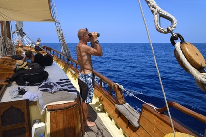 France, Alpes-Maritimes, Saint Jean Cap Ferrat, sea trip on the Santo Sospir boat with the SOS Grand Bleu association for watching dolphins and whales in the Pelagos Sanctuary