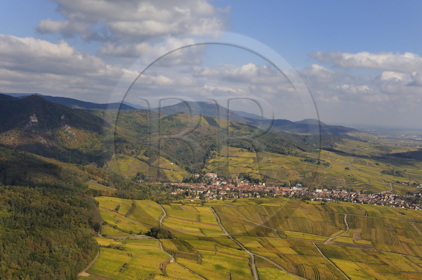 France, Haut-Rhin (68), Ribeauvillé et son vignoble au pied du massif des Vosges (photo aérienne)
