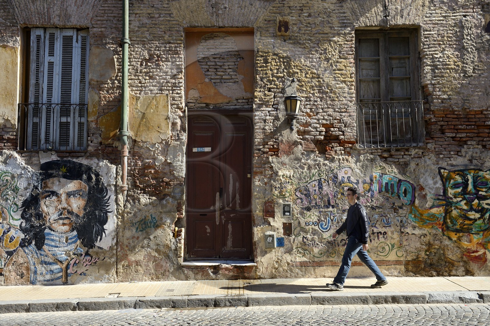 Argentina, Buenos Aires, San Telmo district, murals from the pasaje de San Lorenzo with Che Guevara